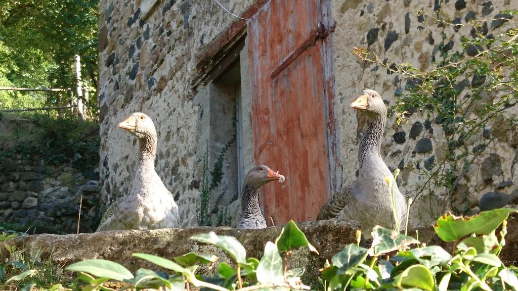 Chateau De Durianne Le Monteil (Haute-Loire) Exterior foto