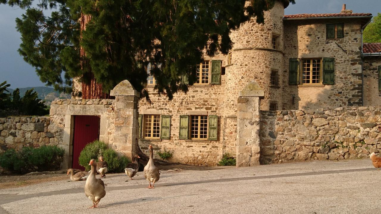 Chateau De Durianne Le Monteil (Haute-Loire) Exterior foto